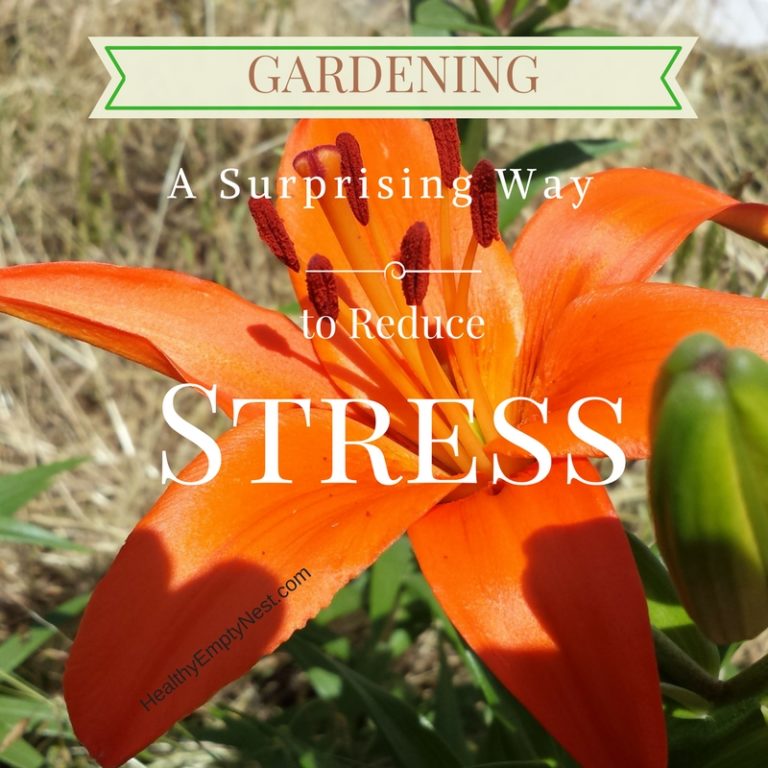 Gardening: A Surprising Way to Reduce Stress